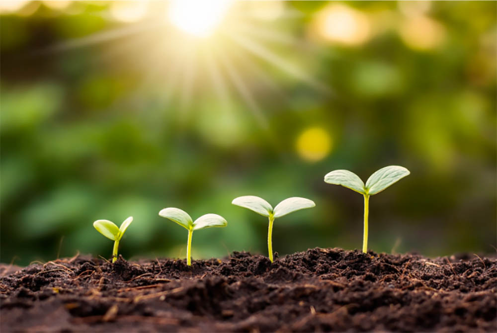 7 strategies that trigger significant business growth and success